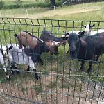 La Chevrerie شقة