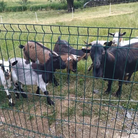 La Chevrerie Des Anes 아파트